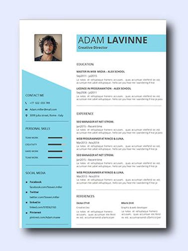 sky blue resume template