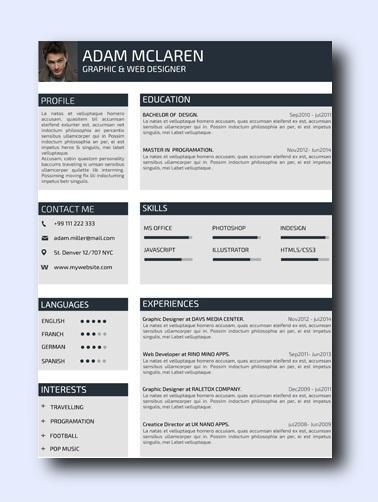 the iconic resume template